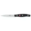Zwilling 10 Cm Paring Knife