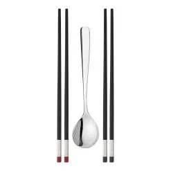 Zwilling 5-pcs Matt/polished Chopstick Set
