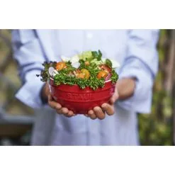 Staub 4-pcs Ceramic Bowl Set Cherry -Knives & Scissors Sales Store 750033604